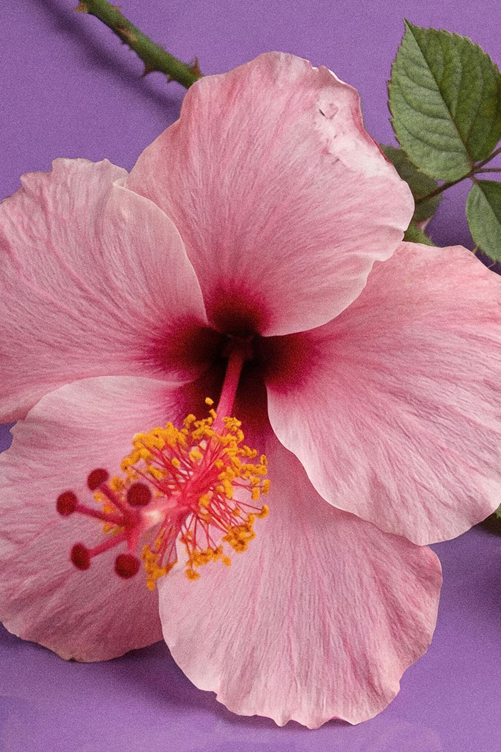 WE STOPPED IN THE COLONNADE, AND WENT ON IN THE SUNLIGHT