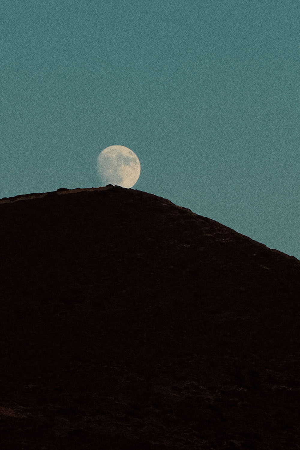 WE STOPPED IN THE COLONNADE, AND WENT ON IN THE SUNLIGHT