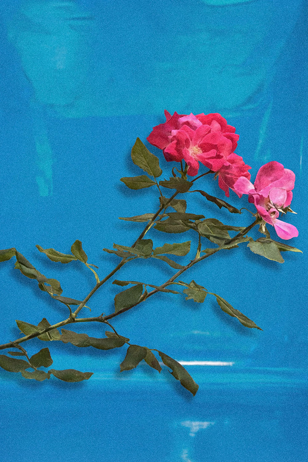 WE STOPPED IN THE COLONNADE, AND WENT ON IN THE SUNLIGHT