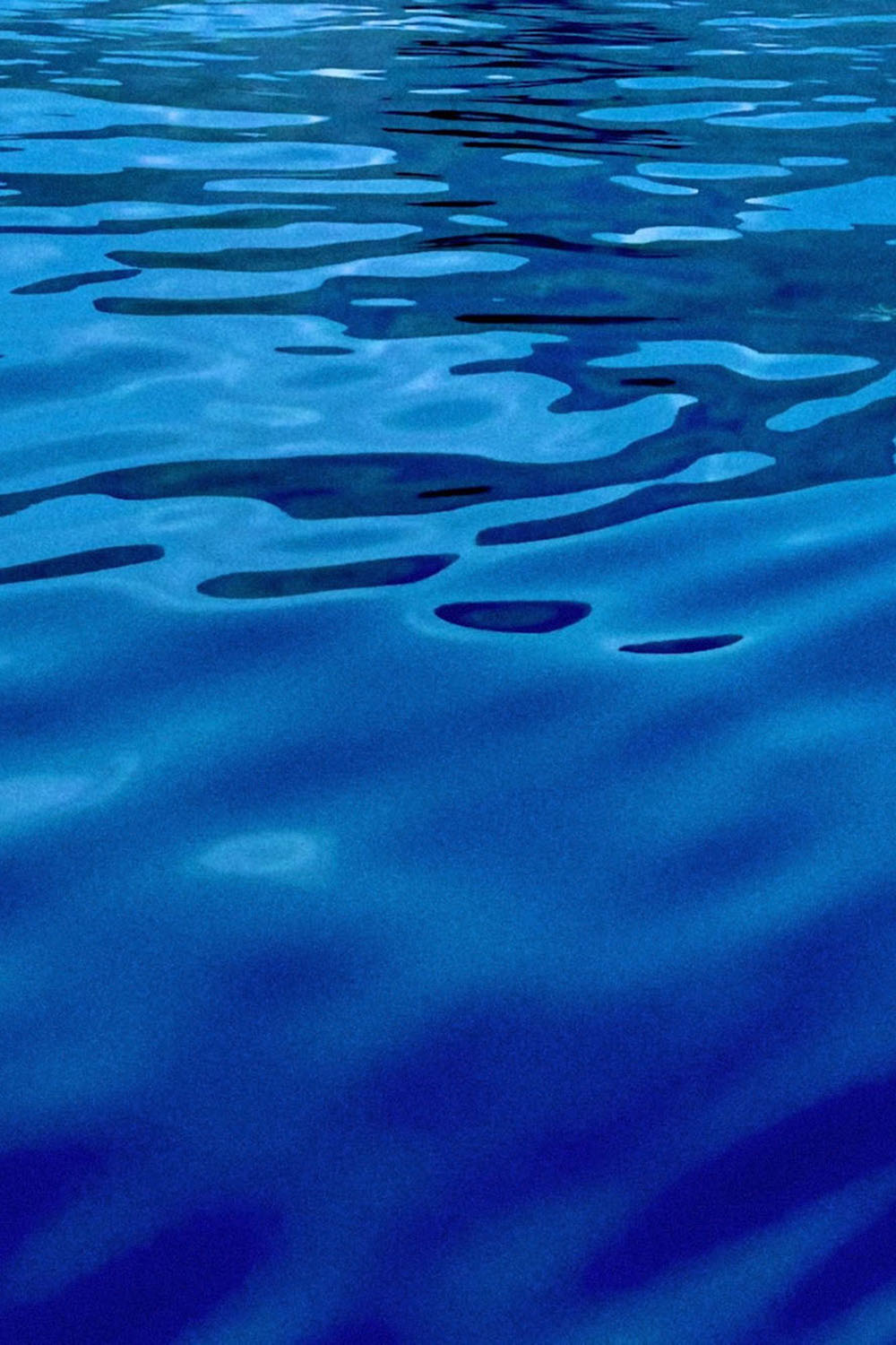 WE STOPPED IN THE COLONNADE, AND WENT ON IN THE SUNLIGHT