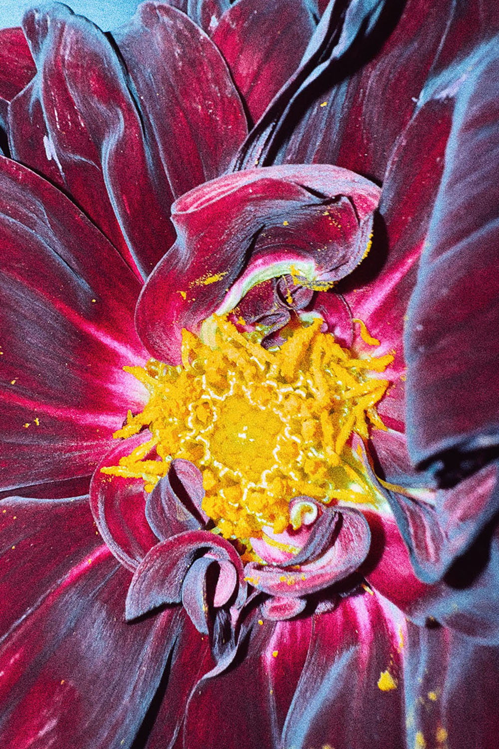 WE STOPPED IN THE COLONNADE, AND WENT ON IN THE SUNLIGHT