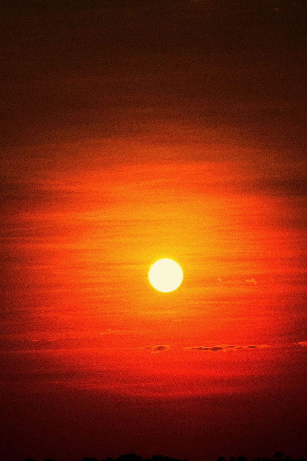 WE STOPPED IN THE COLONNADE, AND WENT ON IN THE SUNLIGHT