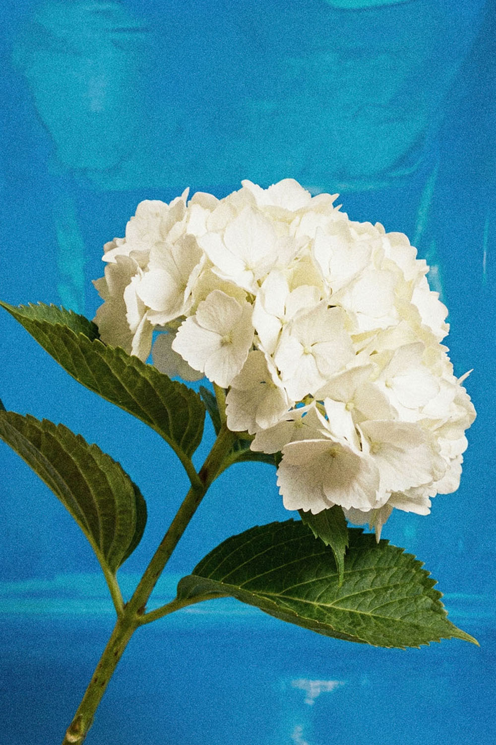 WE STOPPED IN THE COLONNADE, AND WENT ON IN THE SUNLIGHT