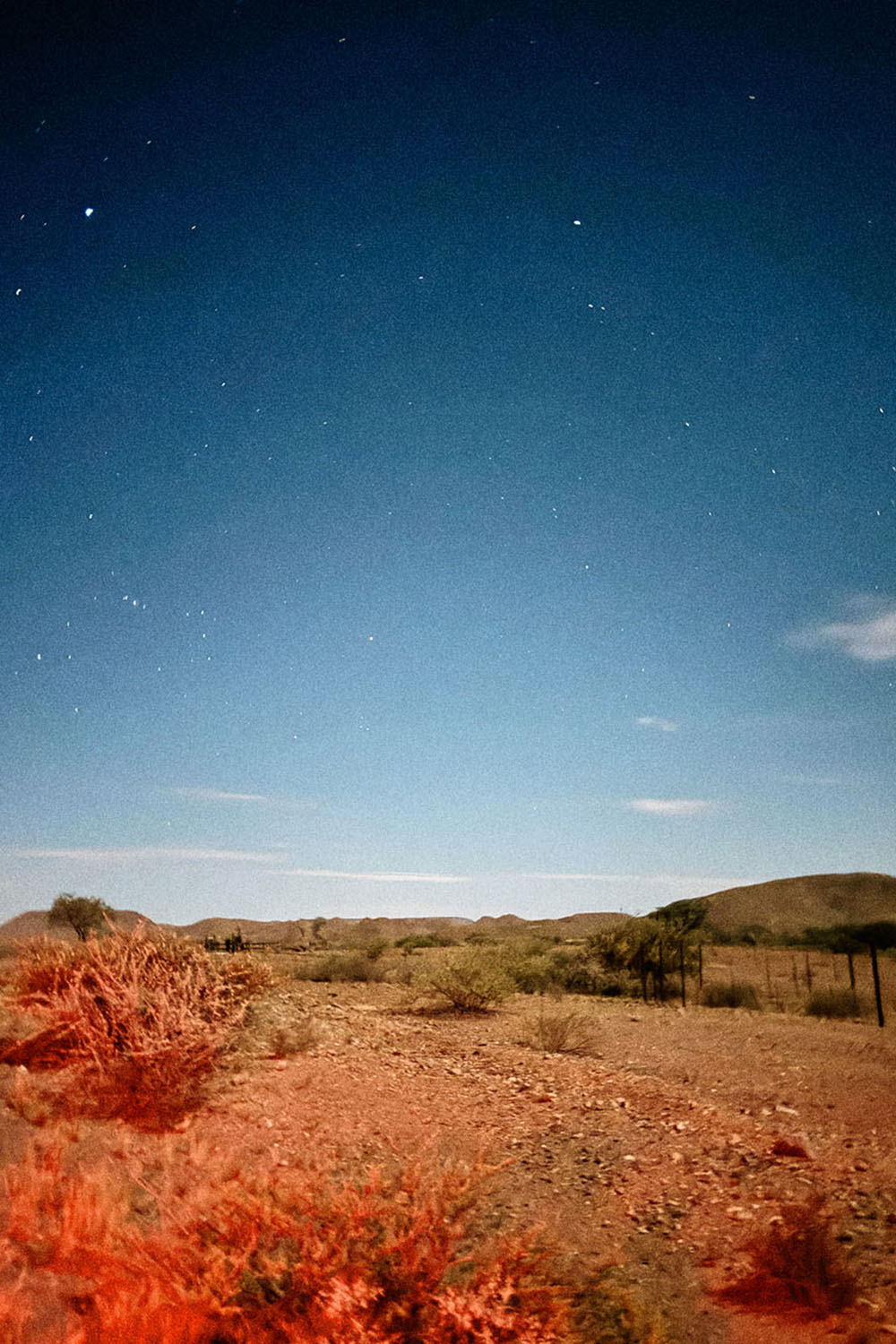 WE STOPPED IN THE COLONNADE, AND WENT ON IN THE SUNLIGHT