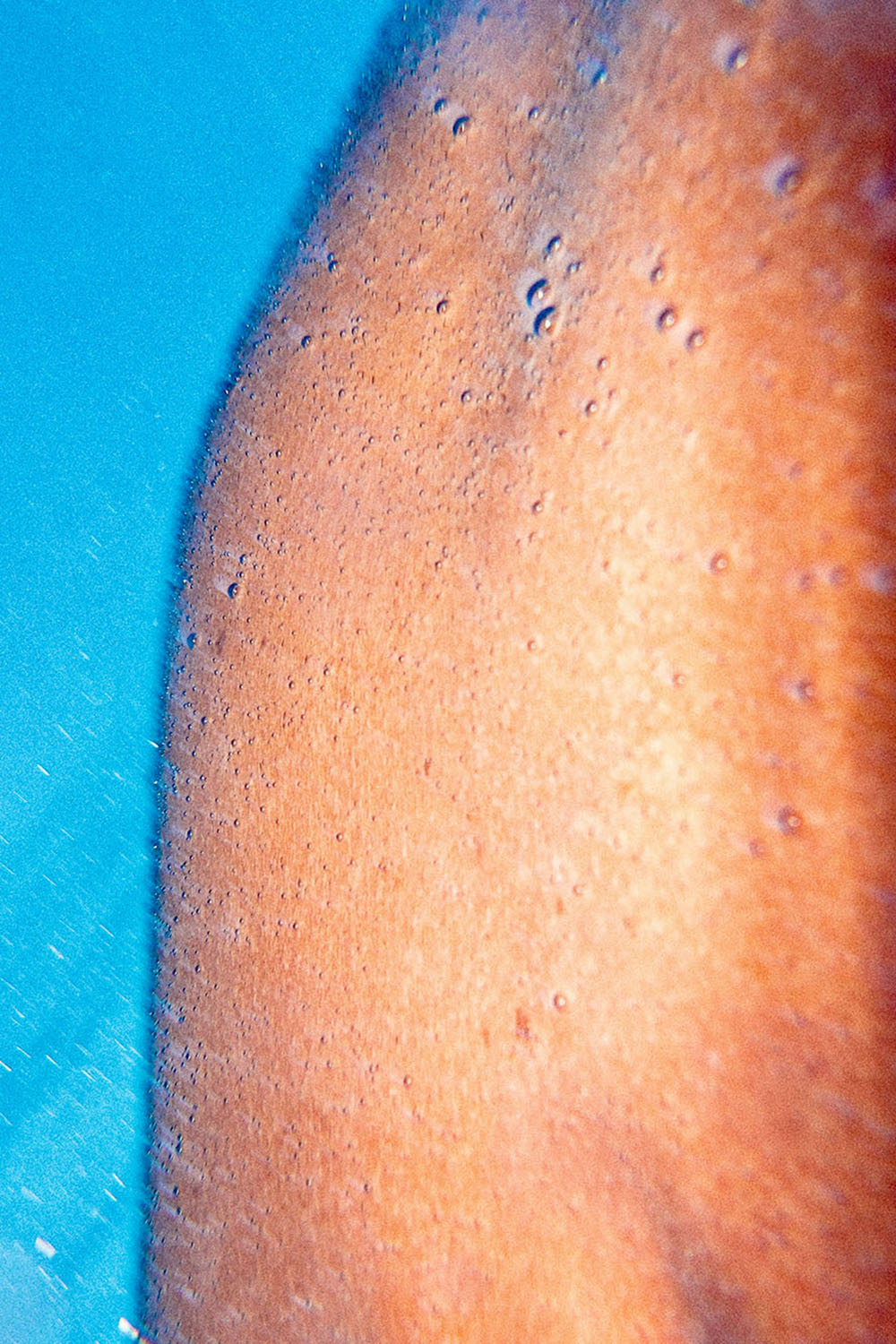 WE STOPPED IN THE COLONNADE, AND WENT ON IN THE SUNLIGHT