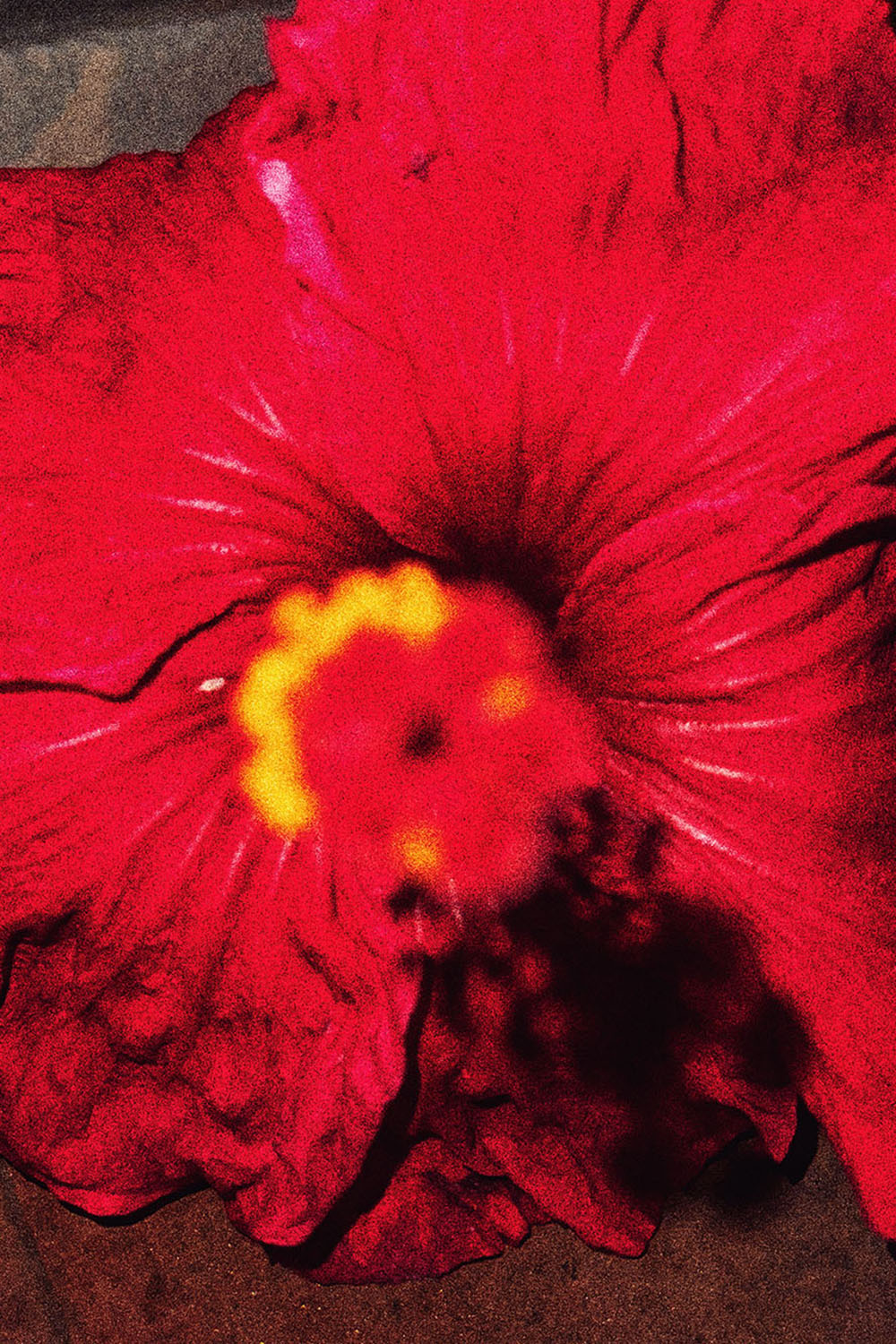 WE STOPPED IN THE COLONNADE, AND WENT ON IN THE SUNLIGHT