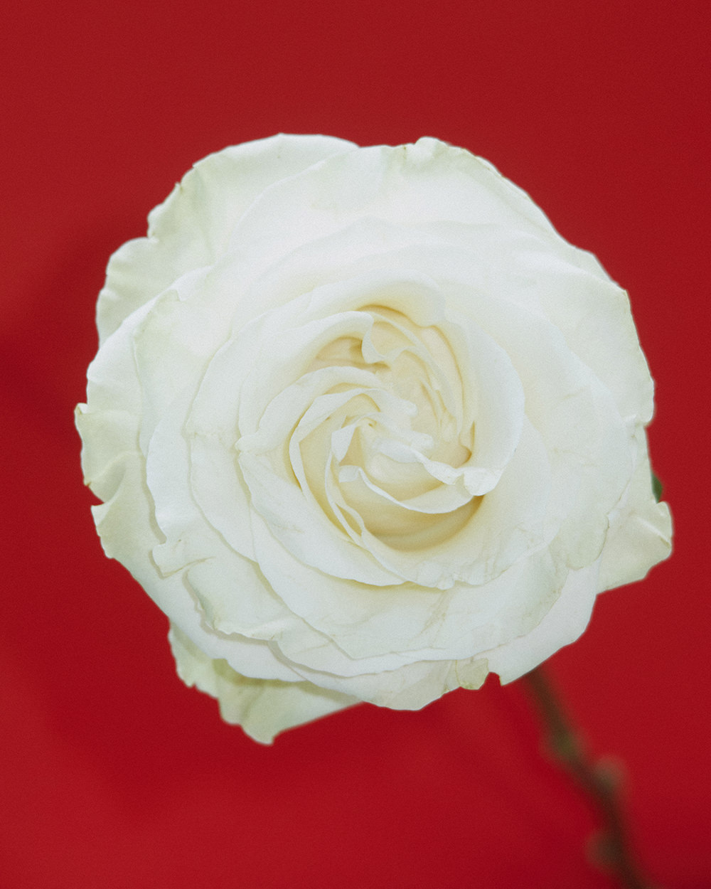 ACT II: THE FALL OF ICARUS