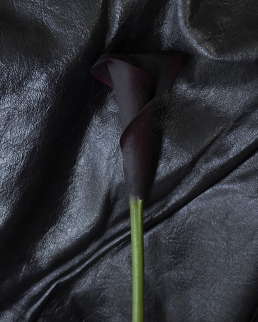 ACT II: THE FALL OF ICARUS