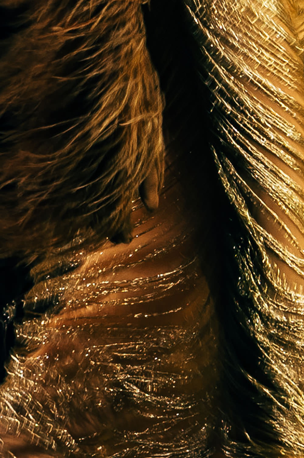 Spring Summer 2026 Fashion Show